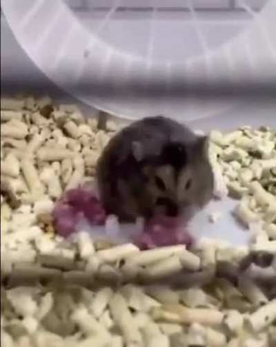 Does it count ?