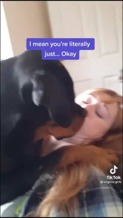 Dog: 