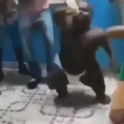 essa &eacute; a coisa mais linda que eu ja vi