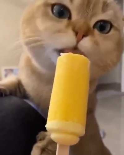 0_0