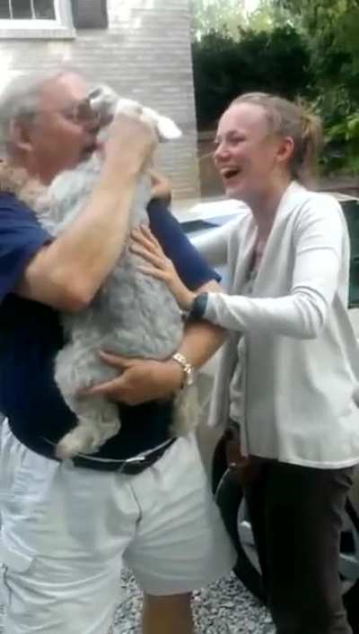 Happy freakout: Dog passes out from joy after seeing its owner for the first time in 2 years -old but gold