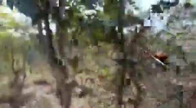 Nigerian soldiers caught in an ambush