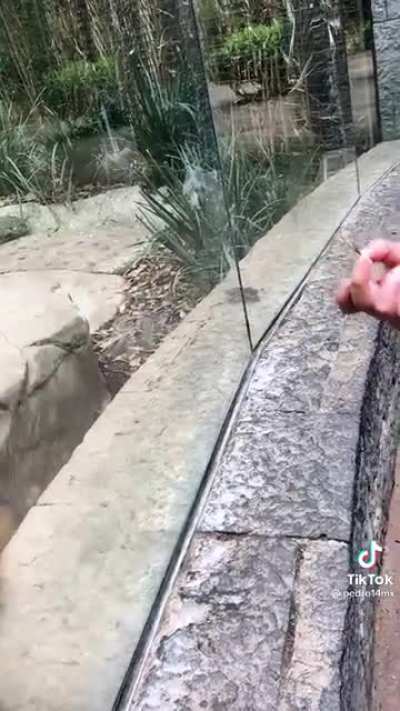 "Did anyone else see that?!" *Mind blown*