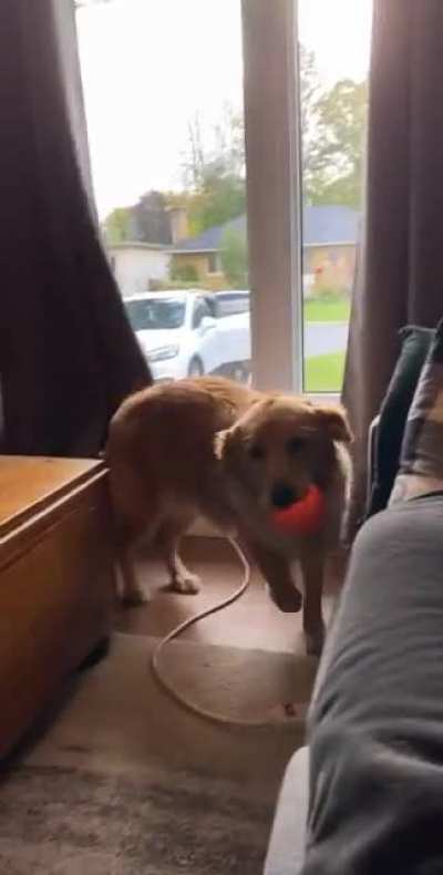 Momma&rsquo;s home!