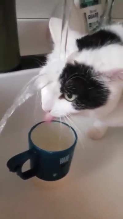 hmmm