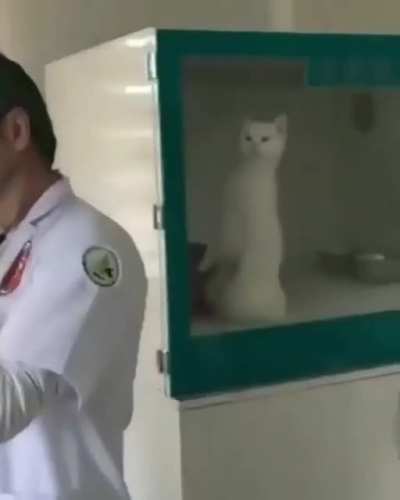 "what is he doing ?"