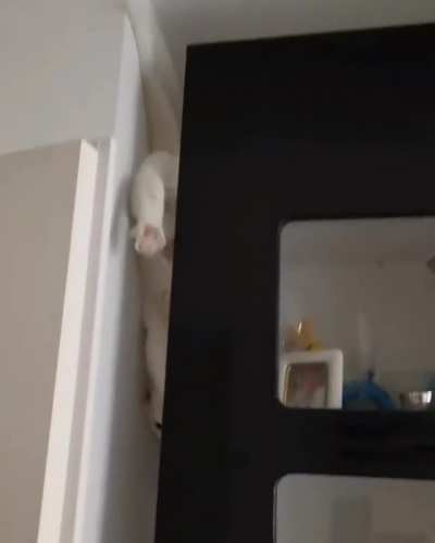 the easy way down