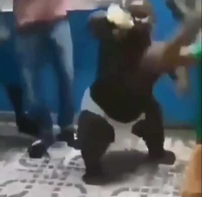 LOLİPOOP