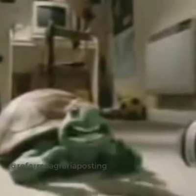 Rata qla asquerosa hermano weon hijo e la maraca quien puta maraca pudo aver parido ese chuchesumare weon que paja weon ese cabro qliao debería nacer no sé weon en el Sename el chuchesumare paque se loviolen tonto re qliao ni tu mamá te quiere conchetumar