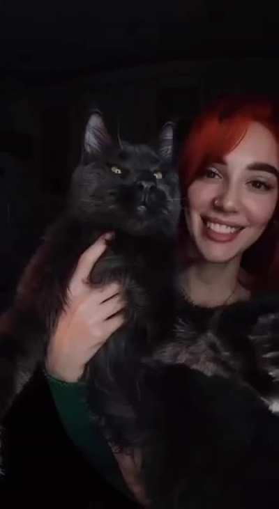 WOW