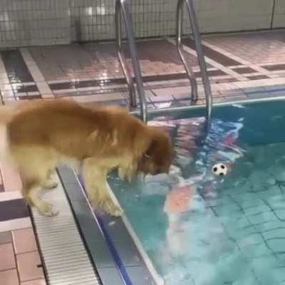 Never give up