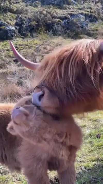 Kisses from mommy 🥰😇😻