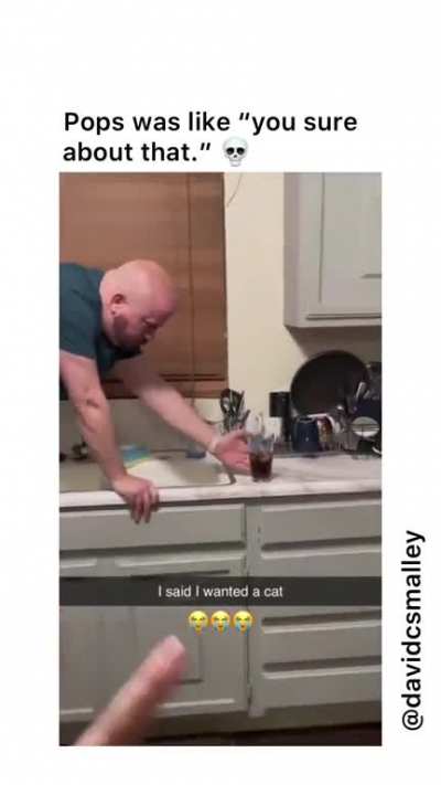 Cat dad