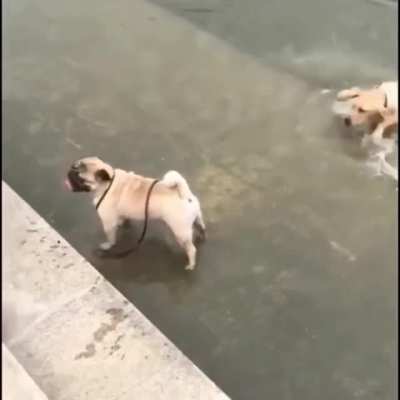 When you think you&rsquo;re in the kid&rsquo;s pool only to be deceived