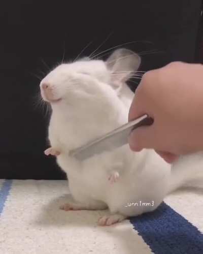 It's brushy time..