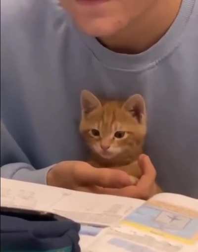 Studying Together!