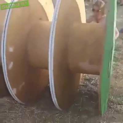 And the Darwin Award goes to...