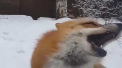 &amp;lt;3
