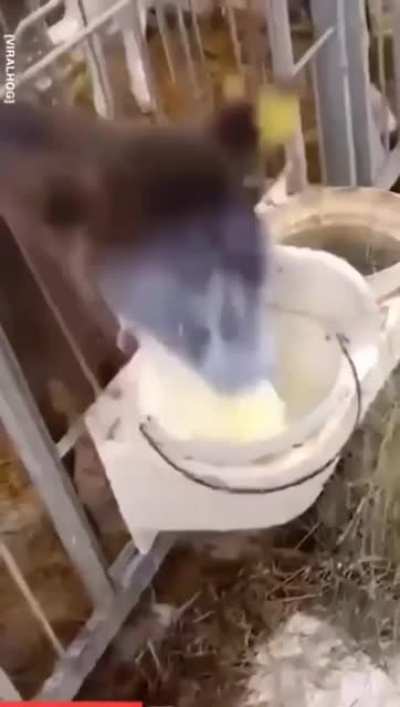 Maybe maybe maybe