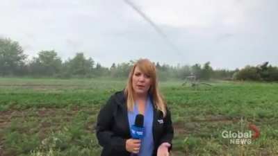 Reporter.