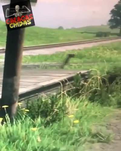 XD
