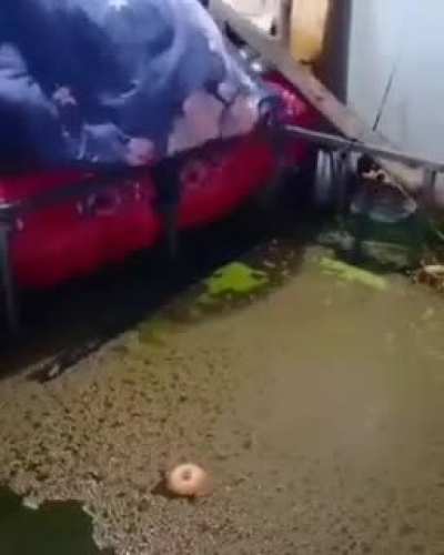 Yeni odam iyi midir