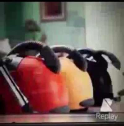 Cursed_Advert