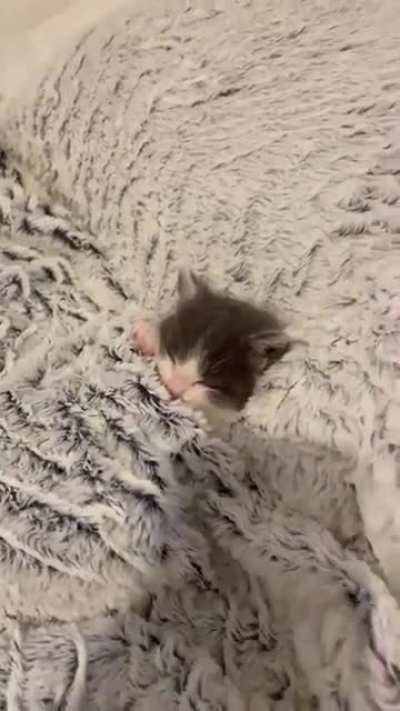 Gonna wake you up