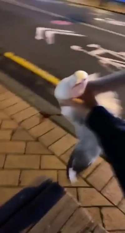 Sound on for justice.