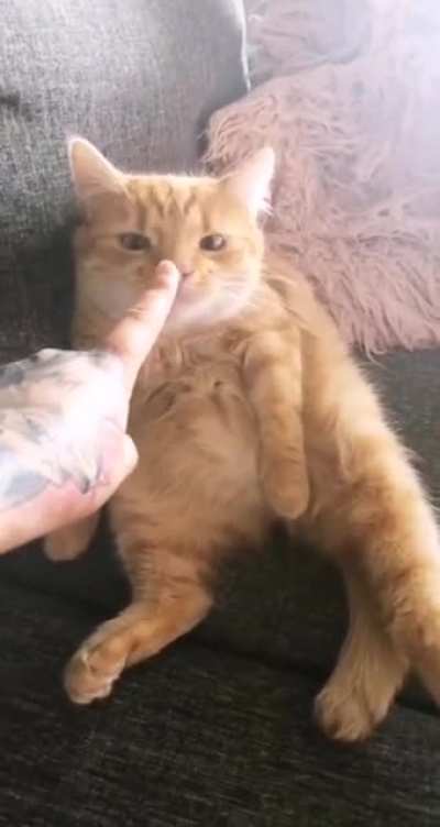 Brofist.