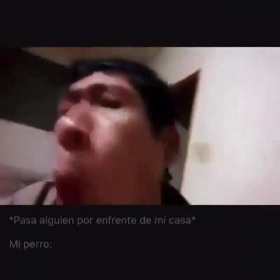 owO