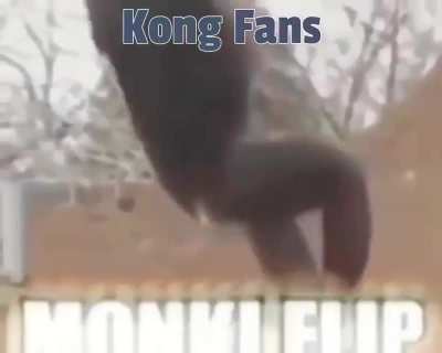 Aqui é team Kong !!