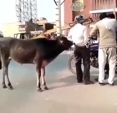 Only in india