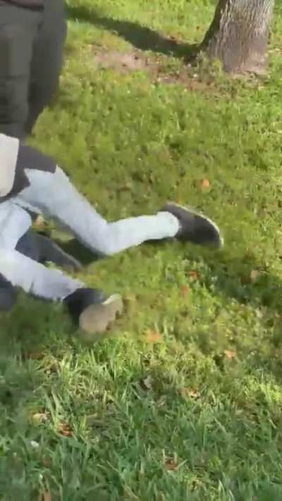 Fight at a bus stop near me