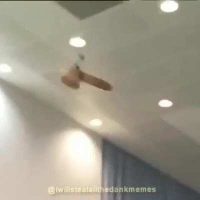 Типичная политика