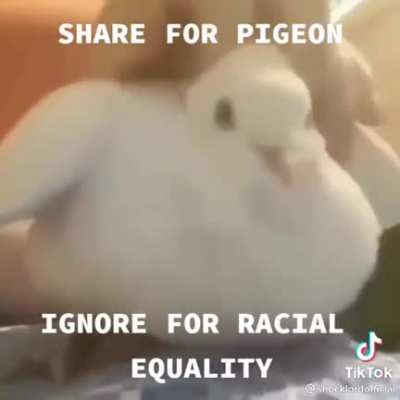 Racism 😎😎😎