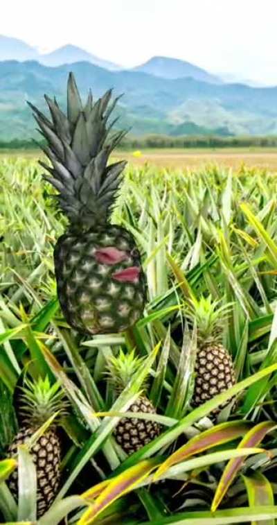 My 3 year old daughter reacts to a pineapple filter