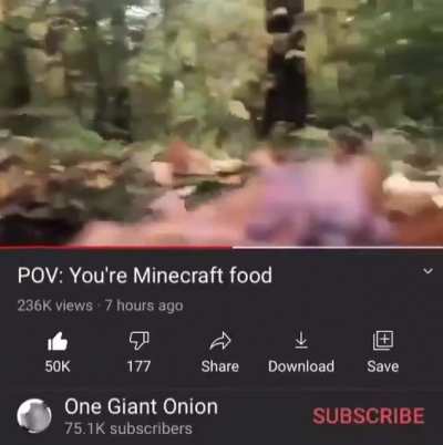 Yo tambi&eacute;n quiero ser un &iacute;tem de Minecraft