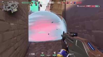 I don't know how I was the only one screaming
