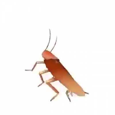 plz give my karma, also enjoy dancing roach :)