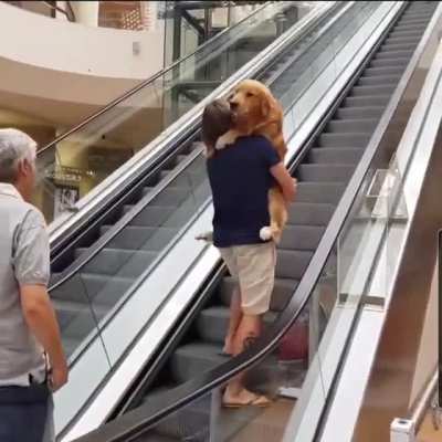 Pls hooman help