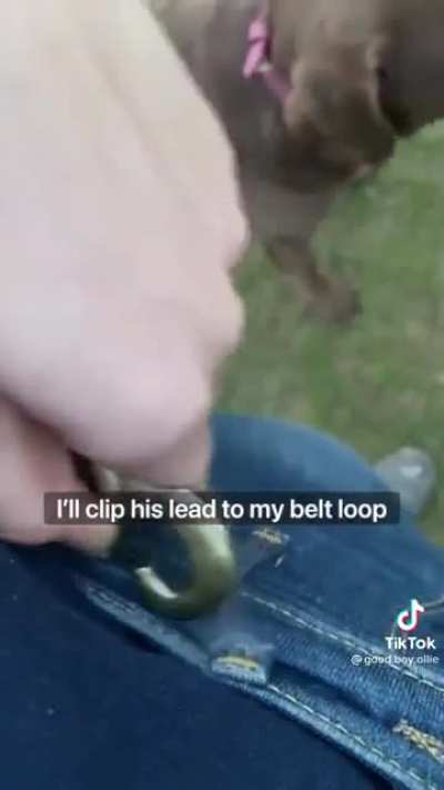 Such a good boy