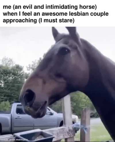 "You have alerted the horses‼️"