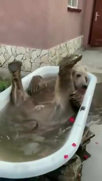 it's my man geralt in his tub!! he deserves some rose petals~