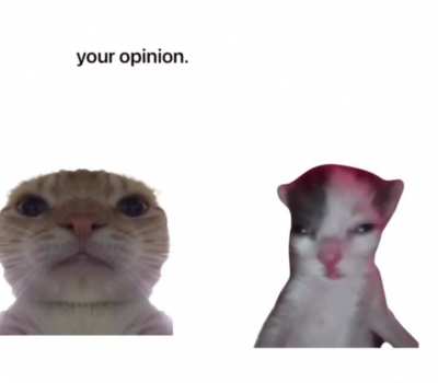 the kats