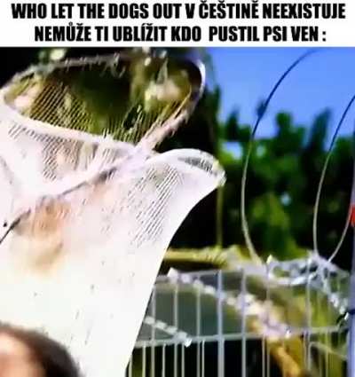 kdo kdo kdo kdo