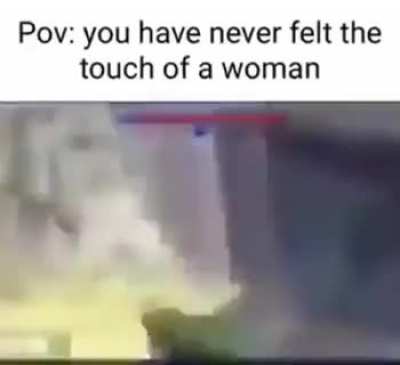 no bitches