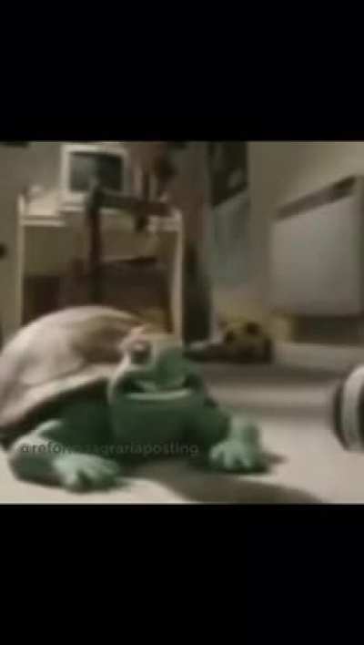 Titulo