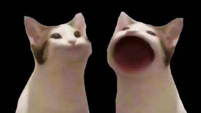 Tutututututututututupupupupupupupupuwakuwakuwakuwaku