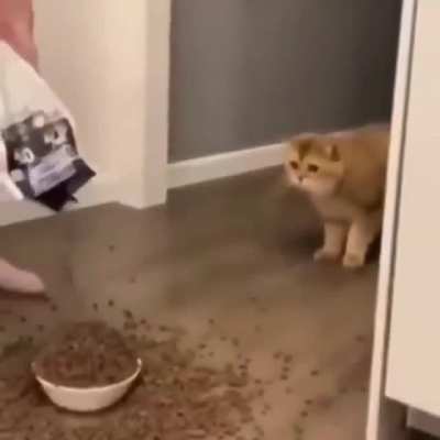 cursed_feeding